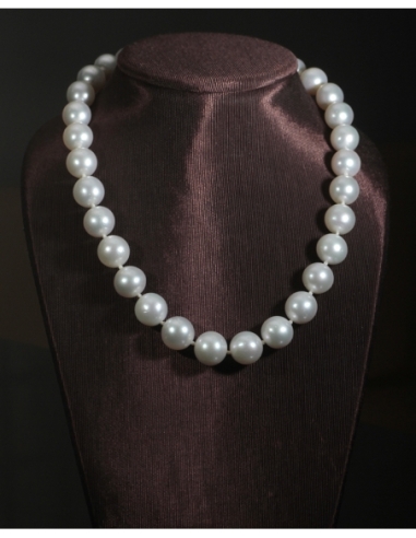 COLLAR NAUTILUS